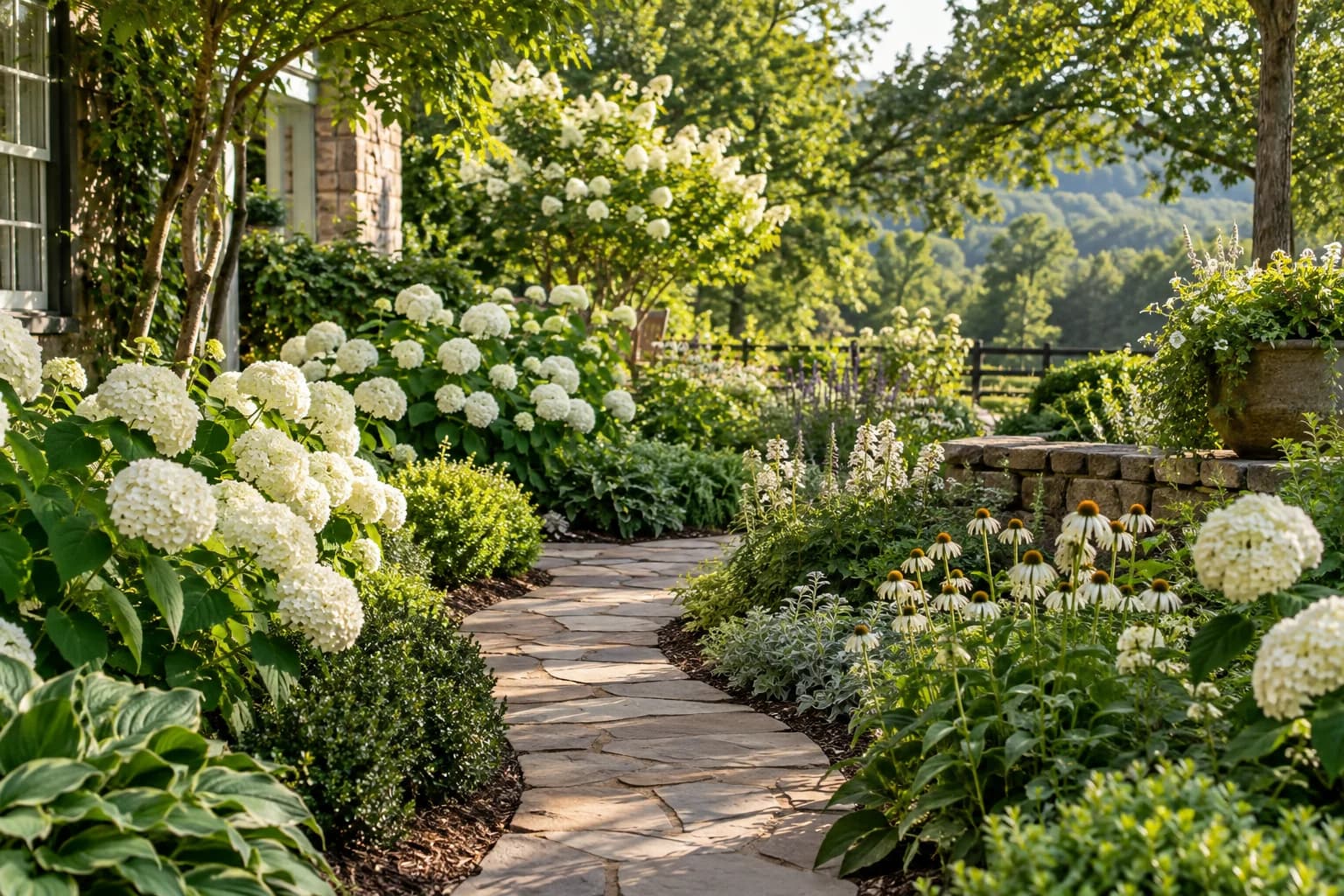 A lush garden with white hydrangeas and a stone path